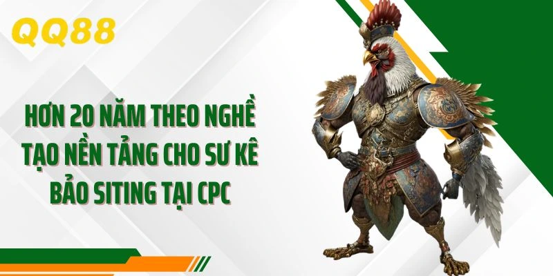 Hơn 20 năm theo nghề tạo nền tảng cho sư kê Bảo Siting tại CPC
